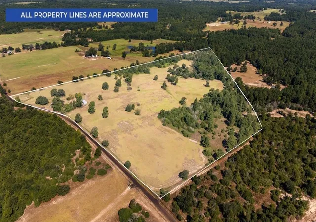 Photo 3 of Land for sale at 1000 County Road 1208, Grapeland, TX 75844 | MLS# 21368790 | Listing updated on 2026-08-25