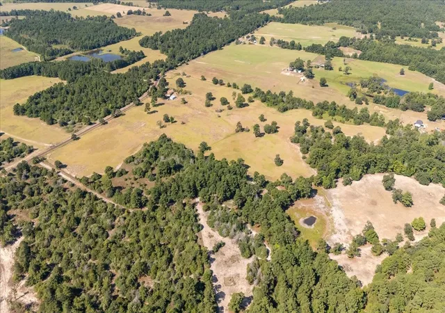Photo 40 of Land for sale at 1000 County Road 1208, Grapeland, TX 75844 | MLS# 21368790 | Listing updated on 2026-08-25