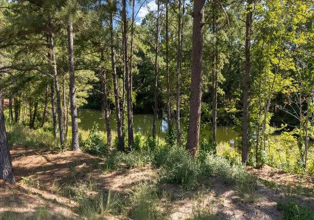 Photo 4 of House for sale at 1000 County Road 1208, Grapeland, TX 75844 | MLS# 21368790 | Listing updated on 2026-08-25