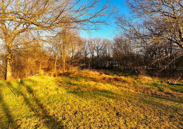 Photo 3 of Land for sale at 259 Nw County 3115 Rd, Purdon, TX 76679 | MLS# 21368855 | Listing updated on 2026-09-18