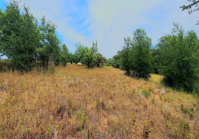 Photo 3 of Land for sale at 1080 Gonzollas Rd, Springtown, TX 76082 | MLS# 21366632 | Listing updated on 2026-08-26
