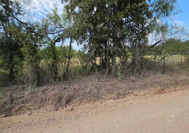 Photo 2 of Land for sale at 301 County Road 315, Comanche, TX 76442 | MLS# 21369225 | Listing updated on 2026-08-26