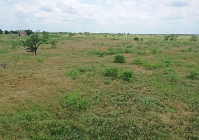 Photo 3 of Land for sale at 4889 Farm To Market, Powell, TX 75153 | MLS# 21369397 | Listing updated on 2026-08-26