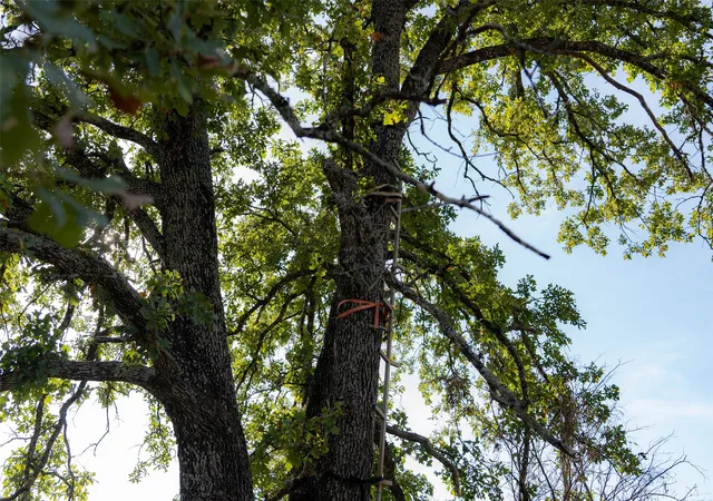 Photo 2 of Sale Pending at 0 Cr 4200, Kerens, TX 75144 | MLS# 21369554 | Listing updated on 2026-08-31