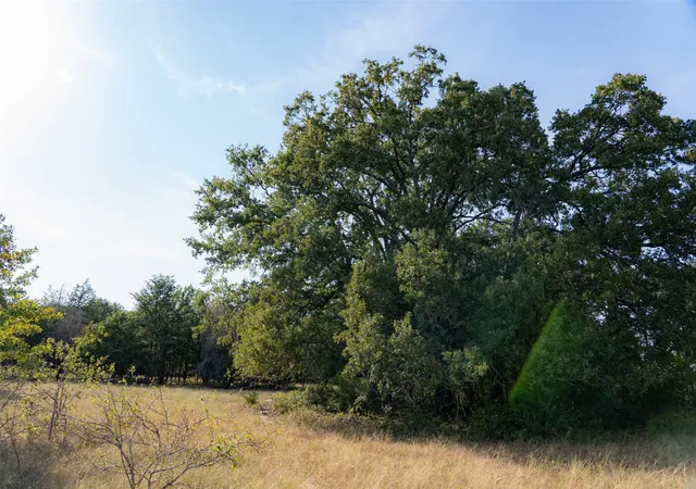 Photo 2 of Sale Pending at 0 Cr 4200, Kerens, TX 75144 | MLS# 21369554 | Listing updated on 2026-08-31