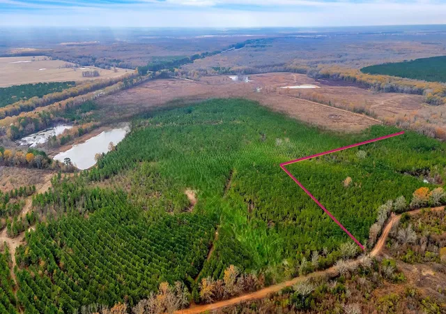 Land for sale at Tbd Cr-4308, De Kalb, TX 75559 | MLS# 21369654