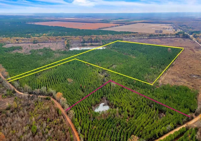 Photo 3 of Land for sale at Tbd Cr 4308, De Kalb, TX 75559 | MLS# 21369654 | Listing updated on 2026-08-26