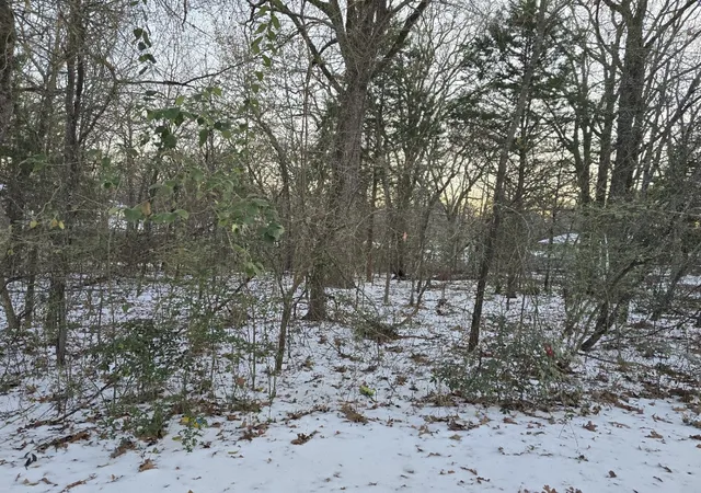 Photo 3 of Land for sale at 750 754 Doe Run Rd, Gun Barrel City, TX 75156 | MLS# 21369835 | Listing updated on 2026-08-31