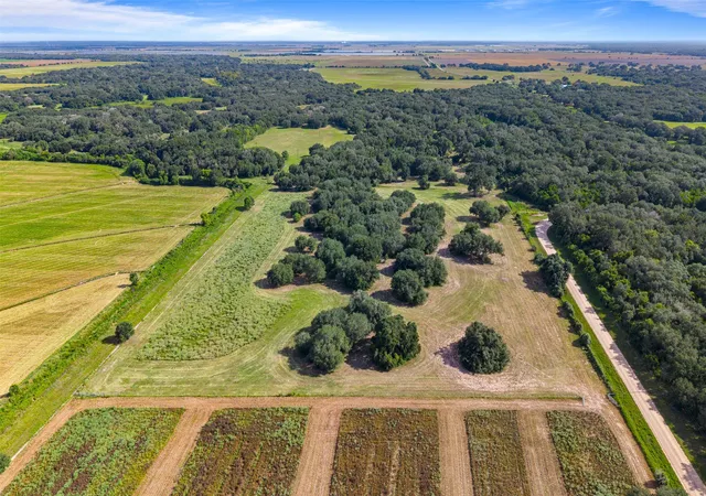 Photo 2 of Land for sale at Cr 382 N/a, Louise, TX 77455 | MLS# 21369512 | Listing updated on 2026-08-27