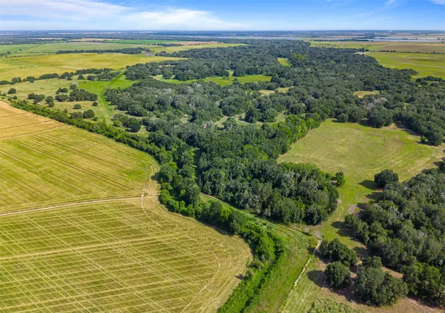 Photo 3 of Land for sale at Cr 382 N/a, Louise, TX 77455 | MLS# 21369512 | Listing updated on 2026-08-27