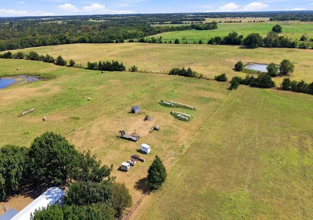 Photo 3 of Land for sale at 878 County Road 2900, Dodd City, TX 75438 | MLS# 21369064 | Listing updated on 2026-08-31