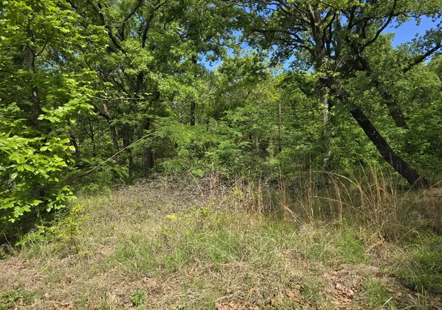 Photo 1 of Land for sale at Lot 700 Shady Grove Rd, Gun Barrel City, TX 75156 | MLS# 21369893 | Listing updated on 2026-08-26
