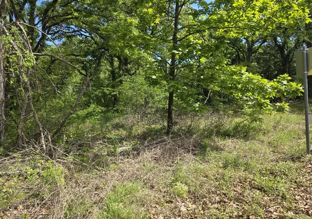 Photo 3 of Land for sale at Lot 701 Shady Grove Rd, Gun Barrel City, TX 75156 | MLS# 21369929 | Listing updated on 2026-08-26
