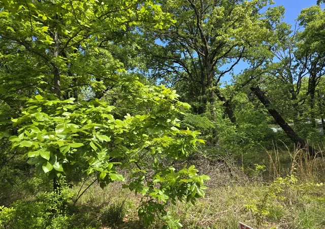 Photo 4 of Land for sale at Lot 701 Shady Grove Rd, Gun Barrel City, TX 75156 | MLS# 21369929 | Listing updated on 2026-08-26