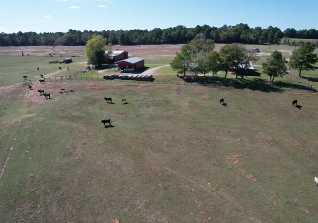 Photo 3 of House for sale at 19743 S County Road 3227, Cushing, TX 75760 | MLS# 21369991 | Listing updated on 2026-09-28