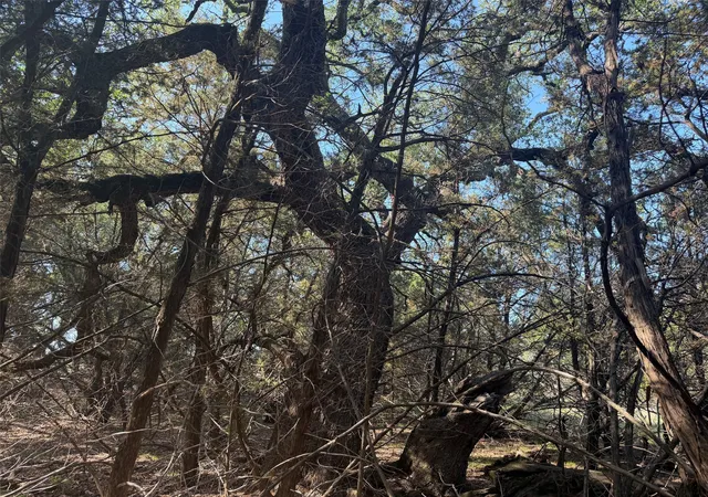 Photo 14 of Land for sale at Tbd County Road 2644, Lometa, TX 76853 | MLS# 21362858 | Listing updated on 2026-08-26