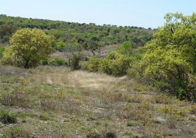 Photo 3 of Single family home for sale at 92 Pr 135, Goldthwaite, TX 76844 | MLS# 21370042 | Listing updated on 2026-08-26