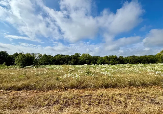 Photo 3 of Land for sale at Tbd Lot 2 Cr 3356, Anna, TX 75409 | MLS# 21369978 | Listing updated on 2026-09-03