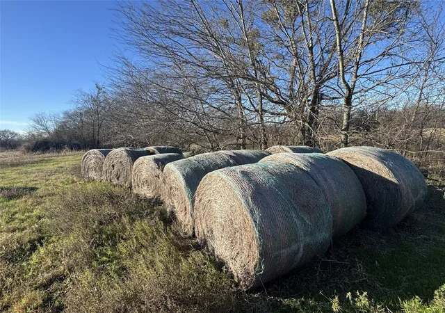 Photo 3 of Land for sale at Tbd Co Rd 4026, Kemp, TX 75143 | MLS# 21367274 | Listing updated on 2026-08-26