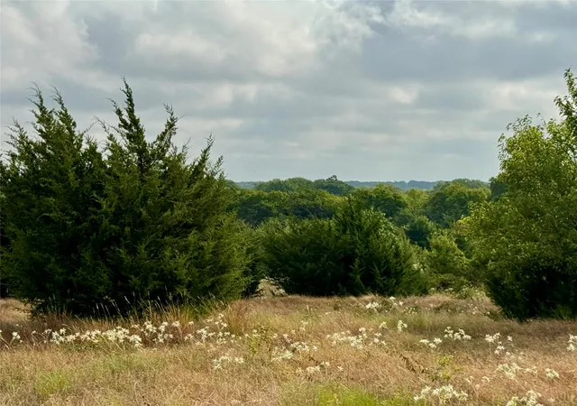 Photo 4 of Land for sale at Tbd Lot 21 Cr 3356, Anna, TX 75409 | MLS# 21370088 | Listing updated on 2026-09-03