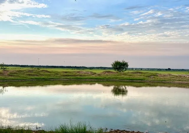 Photo 1 of Land for sale at 9484 State Hwy 36 E, Cross Plains, TX 76443 | MLS# 21370135 | Listing updated on 2026-08-27