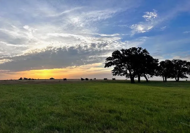 Photo 3 of Land for sale at 9484 State Hwy 36 E, Cross Plains, TX 76443 | MLS# 21370135 | Listing updated on 2026-08-27