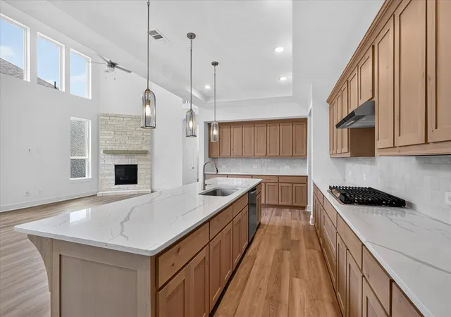 Photo 3 of Single family home for sale at 1219 Barbazzano Dr, Fate, TX 75087 | MLS# 21370301 | Listing updated on 2026-09-03