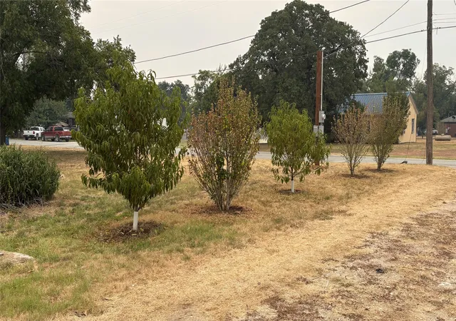 Photo 3 of Land for sale at 701 W Manchaca Ave, De Leon, TX 76444 | MLS# 21369509 | Listing updated on 2026-08-27