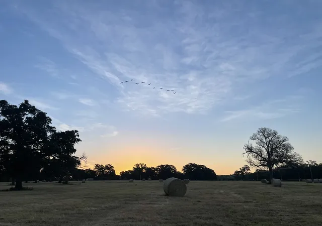 Photo 14 of Land for sale at Lot 36 Cr 1200, Athens, TX 75751 | MLS# 21370423 | Listing updated on 2026-08-31