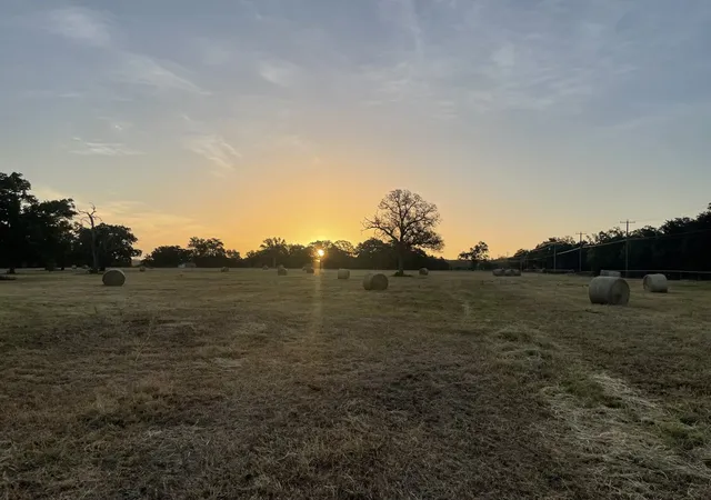 Photo 1 of Land for sale at Lot 36 Cr 1200, Athens, TX 75751 | MLS# 21370423 | Listing updated on 2026-08-31
