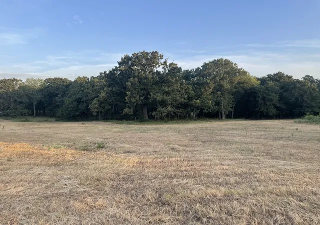 Photo 2 of Land for sale at Lot 36 Cr 1200, Athens, TX 75751 | MLS# 21370423 | Listing updated on 2026-08-31