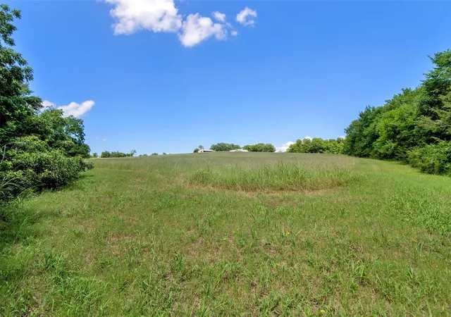 Photo 4 of House for sale at 8081 County Road 500, Blue Ridge, TX 75424 | MLS# 21369597 | Listing updated on 2026-08-29