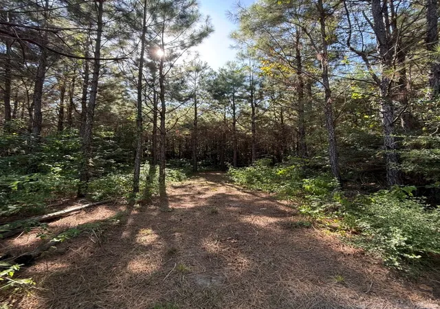 Photo 1 of Land for sale at Tbd Pr 8263, Broaddus, TX 75929 | MLS# 21370777 | Listing updated on 2026-08-31