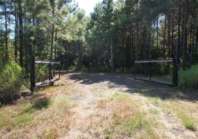 Photo 2 of Land for sale at Tbd Pr 8263, Broaddus, TX 75929 | MLS# 21370777 | Listing updated on 2026-08-31