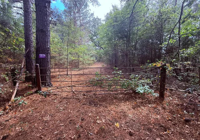 Photo 3 of Land for sale at Tbd Fm 312, Winnsboro, TX 75494 | MLS# 21370905 | Listing updated on 2026-09-02