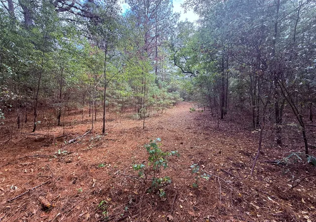 Photo 4 of Land for sale at Tbd Fm 312, Winnsboro, TX 75494 | MLS# 21370905 | Listing updated on 2026-09-02