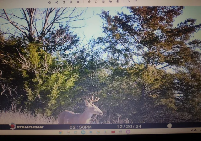 Photo 3 of Land for sale at Tbd Farm To Market 2737, Lone Oak, TX 75453 | MLS# 21370963 | Listing updated on 2026-08-27