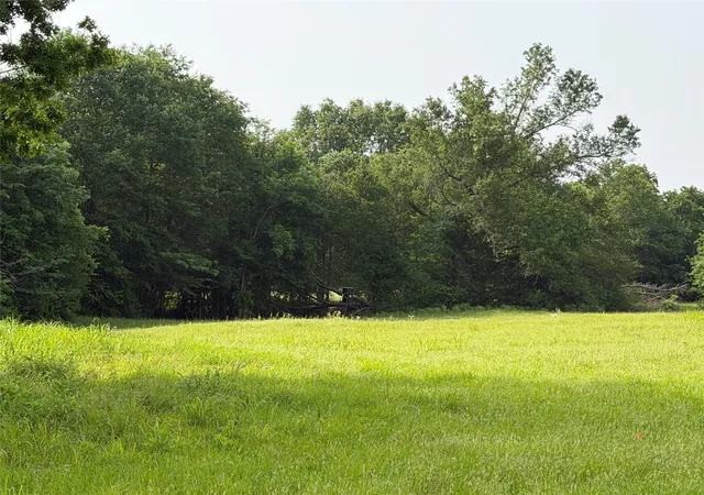 Photo 3 of Land for sale at Tbd County Road 1130, Cumby, TX 75453 | MLS# 21371007 | Listing updated on 2026-08-27
