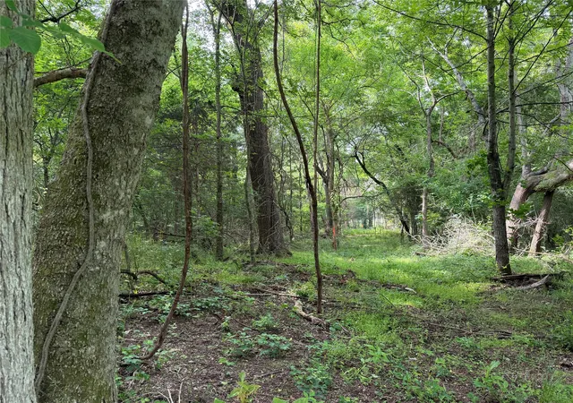 Photo 4 of Land for sale at Tbd County Road 1130, Cumby, TX 75453 | MLS# 21371007 | Listing updated on 2026-08-27