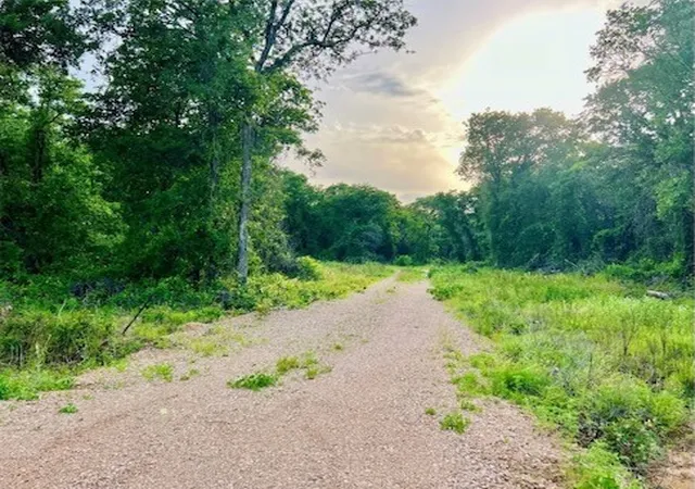 Photo 1 of Land for sale at 1017 Ironwood Way, Poolville, TX 76487 | MLS# 21369870 | Listing updated on 2026-09-01