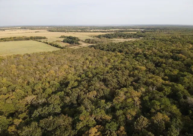 Photo 2 of Land for sale at 0000 Cr 2185, Klondike, TX 75448 | MLS# 21367762 | Listing updated on 2026-08-28