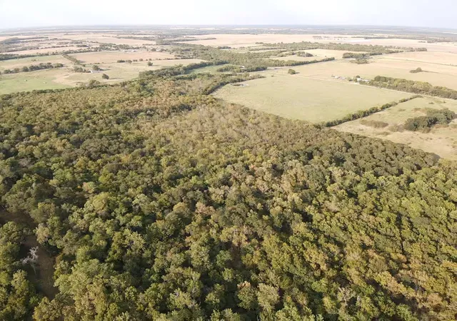 Photo 3 of Land for sale at 0000 Cr 2185, Klondike, TX 75448 | MLS# 21367762 | Listing updated on 2026-08-28