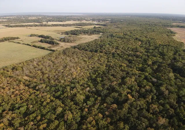 Photo 3 of Land for sale at 0000 Cr 2185, Klondike, TX 75448 | MLS# 21367762 | Listing updated on 2026-08-28
