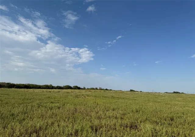 Photo 4 of Land for sale at 0000 Cr 2185, Klondike, TX 75448 | MLS# 21367762 | Listing updated on 2026-08-28