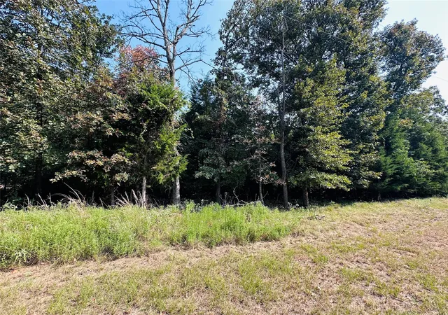 Photo 2 of Land for sale at 12 14 Pedernales North, Athens, TX 75752 | MLS# 21371042 | Listing updated on 2026-08-28