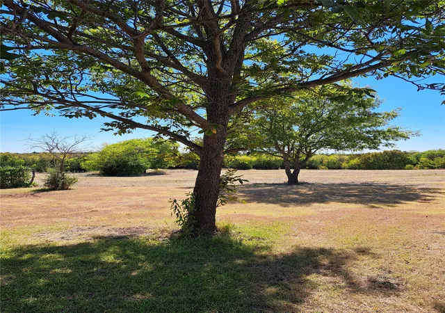 Photo 3 of Land for sale at 0000 Fm-982, Princeton, TX 75407 | MLS# 21371589 | Listing updated on 2026-08-28