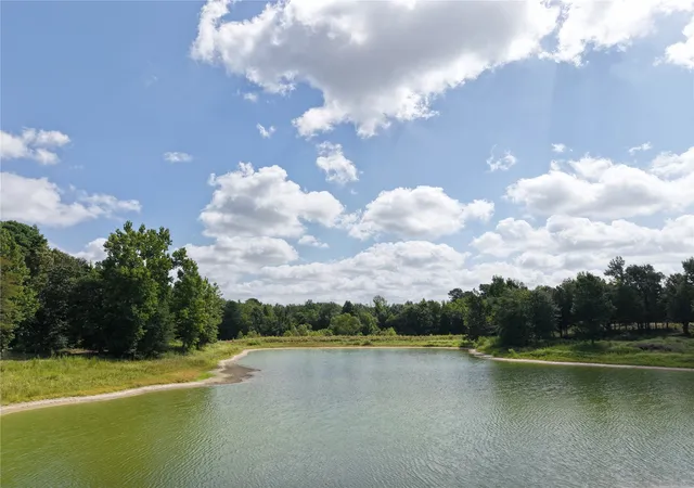 Land for sale at 961 County Rd 484, Palestine, TX 75803 | MLS# 21363713