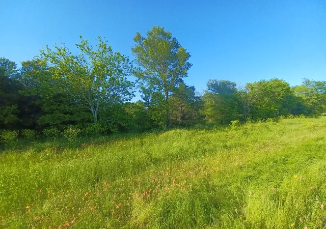 Land for sale at Block 004 W Hwy 84 Hwy, Mexia, TX 76667 | MLS# 21368050