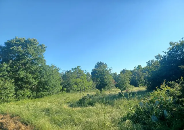 Photo 1 of Land for sale at Block 004 W Hwy 84 Hwy, Mexia, TX 76667 | MLS# 21368050 | Listing updated on 2026-08-28