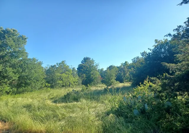 Photo 2 of Land for sale at Block 004 W Hwy 84 Hwy, Mexia, TX 76667 | MLS# 21368050 | Listing updated on 2026-08-28